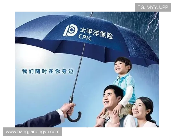 凯发集团简介：企业社会责任、公益项目及可持续发展战略解析