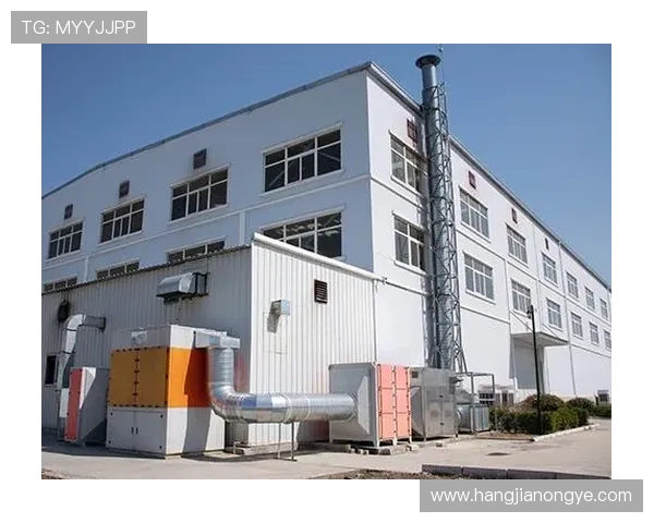 凯发直播官方首页入口功能介绍与操作流程详解，提升你的直播体验