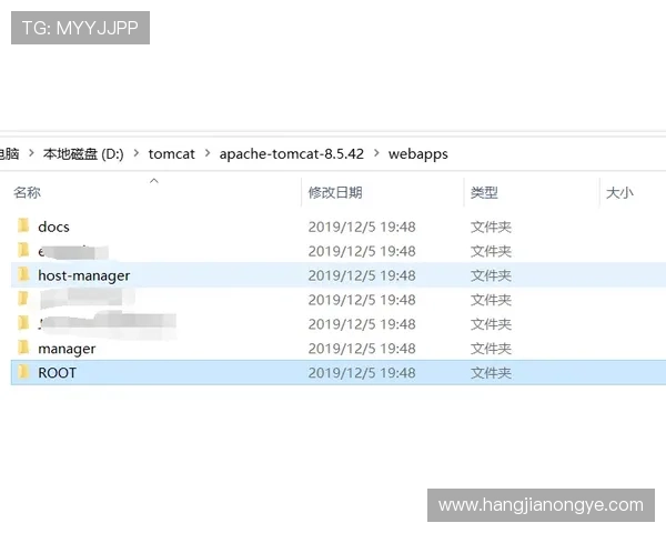 凯发体育官网平台网址查询流程详解让你轻松访问官方平台