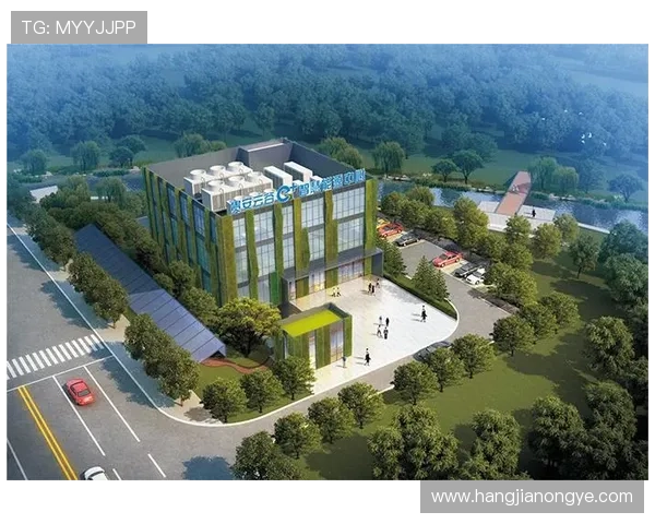 凯发国际k8官网安全可靠的在线娱乐平台推荐与最新登录指南