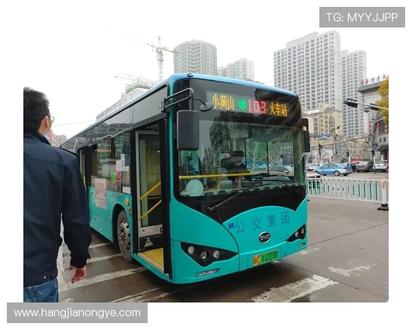 如何在k8凯发集团官网上进行安全可靠的在线投注