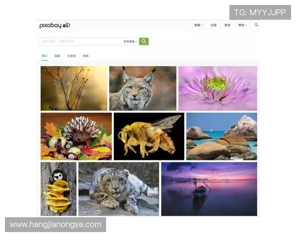 获取凯发手机登录下载网址的最佳途径，确保你不会错过最新更新