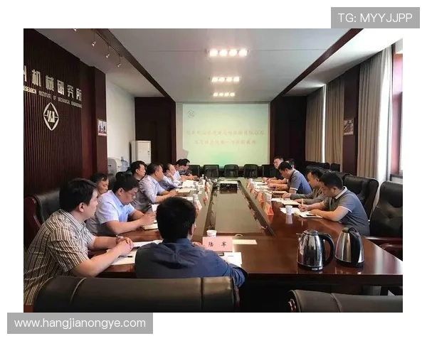 K8凯发真人平台的技术支持与客户服务体系全面解析