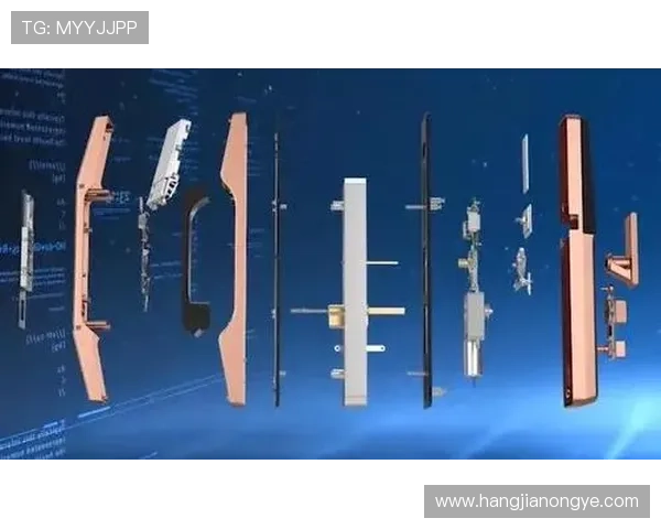 k8官网入口的安全性分析与用户隐私保护措施介绍