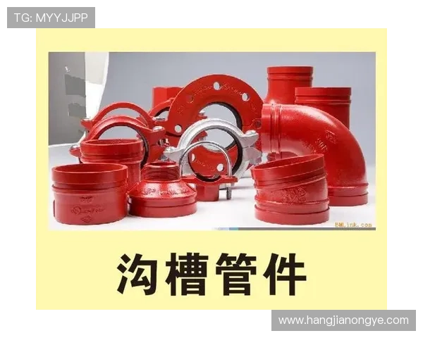 K8凯发国际app下载后如何进行充值与提现，轻松管理你的游戏资金