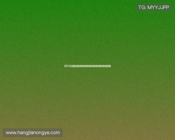 K8AG旗舰厅平台优势分析：为何成为众多玩家首选的优质娱乐平台