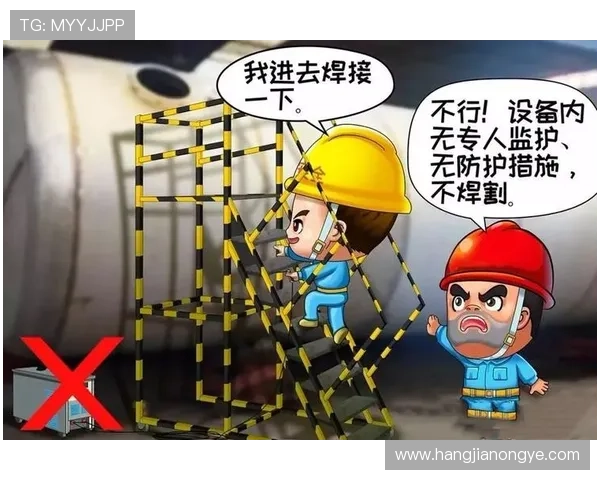 凯发体育官方入口安全登录指南，保障您的账号安全与游戏体验