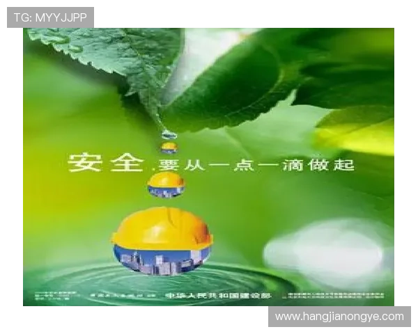 凯发国际开户隐私保护政策详解确保个人信息安全无忧