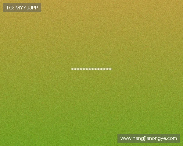 凯发娱乐手机版会员登录：登录流程中的常见错误及避免方法