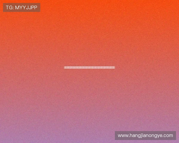 凯发娱乐网站登录平台安全保障措施全面升级，确保用户资金与信息安全无忧