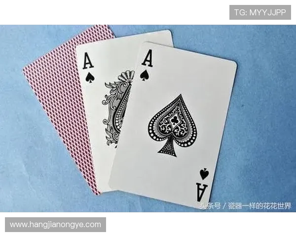 三公的牌型规则详解帮助玩家快速掌握游戏技巧与玩法介绍