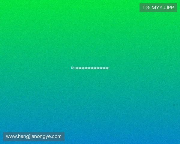 K8电游娱乐平台的支付方式多样化与资金安全保障措施