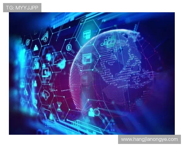 K88娱乐平台的支付方式多样化满足不同用户的便捷需求