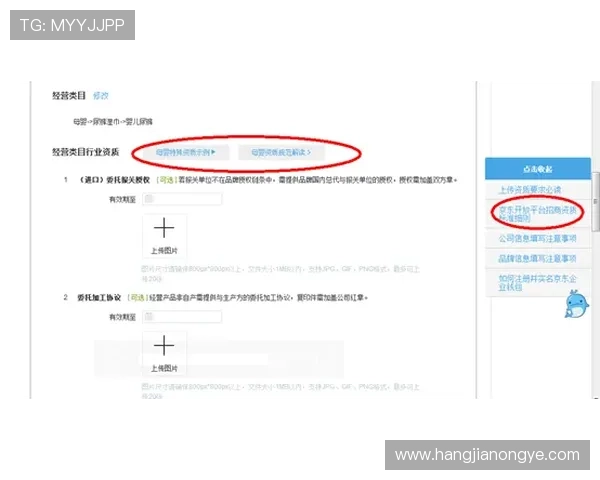 如何解决K8会员登录时遇到的常见问题与错误提示