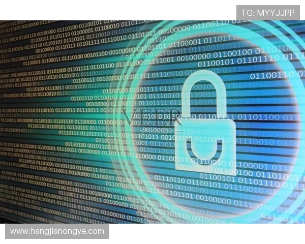 凯发手机娱乐官方网站下载：如何确保下载过程中的数据安全与隐私保护