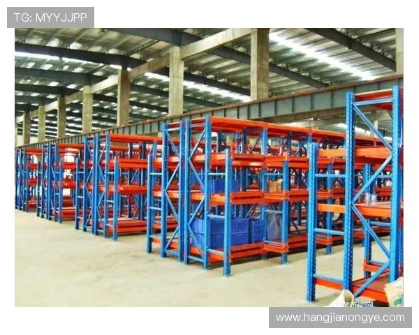 凯发旗舰厅登录免费下载：安全稳定的登录方式助你轻松游戏