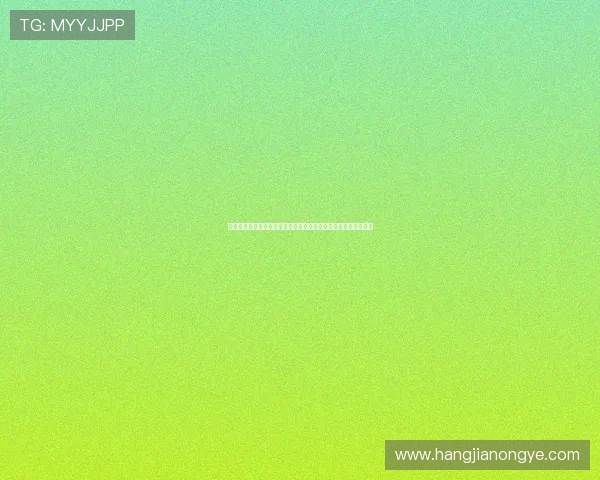 凯发正规网址安全登录指南，帮助用户轻松进入正规平台享受娱乐