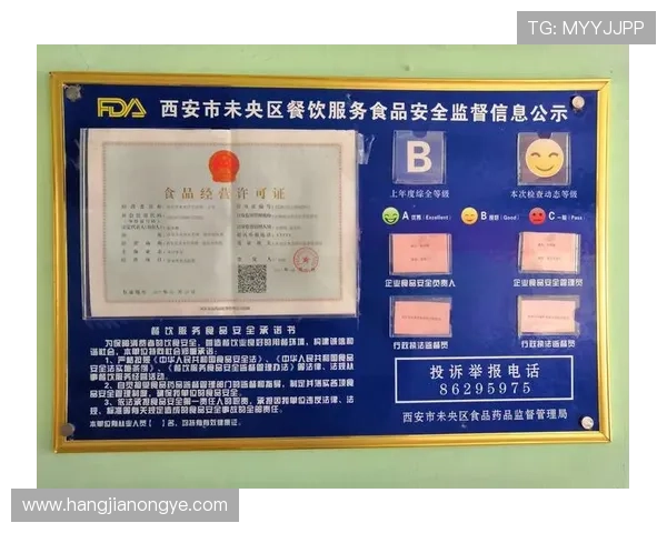 凯发游戏平台安全可靠保障玩家资金与信息安全的详细措施解析