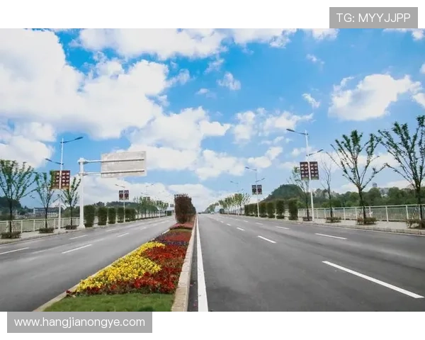 凯发电游官网下载安装常见问题及解决方案全方位指导玩家顺利体验