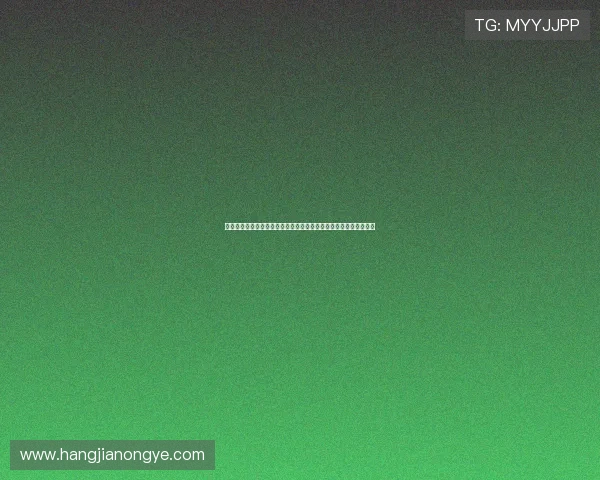 凯发登录入口地址稳定可靠，确保玩家随时随地畅享线上娱乐新体验