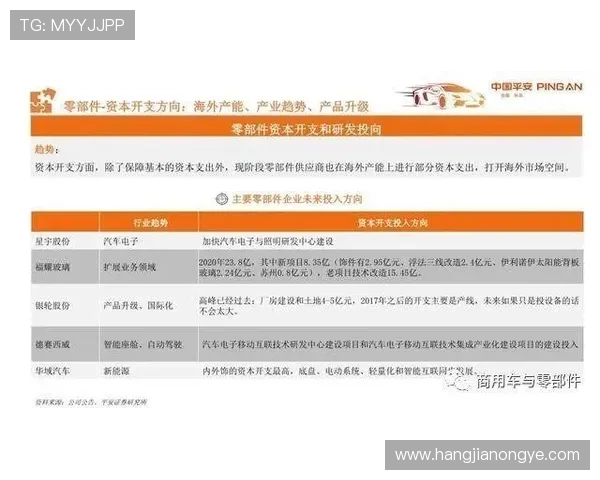 k8篮球平台未来发展趋势预测，助你把握行业最新动态与机会