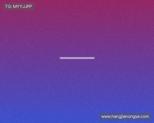 凯发娱乐网址最新版本更新内容详解提升游戏体验的关键变化