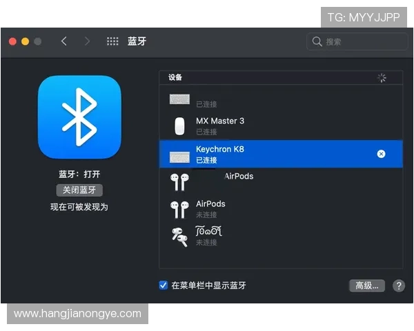 选择K8电子下载平台的优势与安全保障,保障您的游戏体验与资金安全 选择K8电子下载平台的优势与安全保障,保障您的游戏体验与资金安全