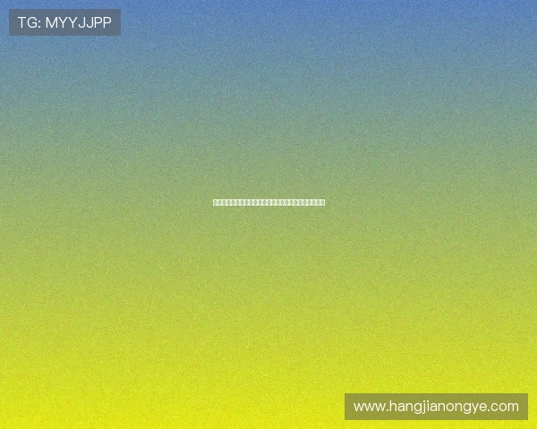 加纳队在世界杯中的关键数据指标及其对比赛结果的影响